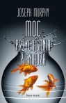 Moc przyciągania pieniądza Joseph Murphy