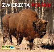 Poznajemy zwierzęta: Zwierzęta Polskie - Wejner Rafał