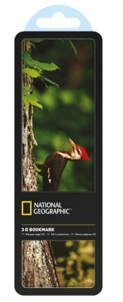 Zakładka 3D National Geographic Dzięcioł