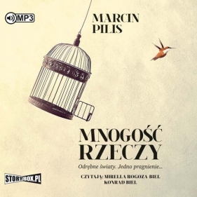 Mnogość rzeczy (Audiobook) - Pilis Marcin