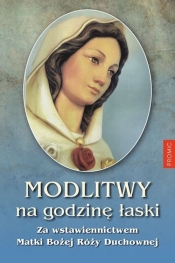 Modlitwy na Godzinę Łaski za wstawiennictwem Matki Bożej Róży Duchownej - Marcin Sobiech