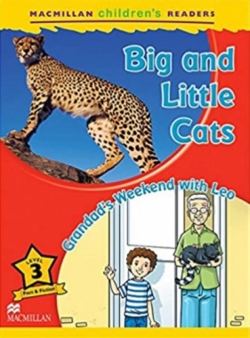 Children's: Big and Little Cats 3 Grandad's... - Coleen Degnan-Veness