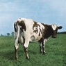 Atom Heart Mother (Vinyl)