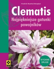 Clematis