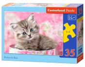 Puzzle Kitten in Box 35 elementów (035212)