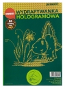 Wydrapywanka hologramowa A4 złoto-zielona