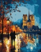 Malowanie po numerach - Nocny spacer 40x50cm