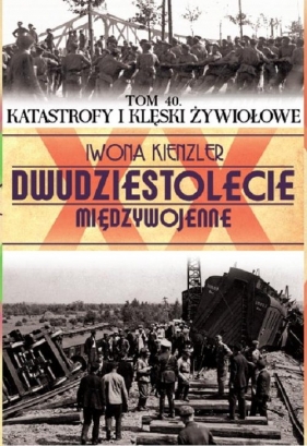 Katastrofy i klęski żywiołowe - Kienzler Iwona