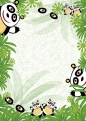 Dyplom Argo panda