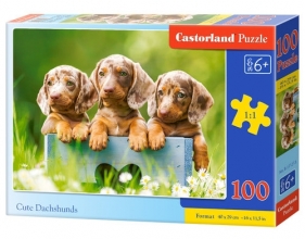 Puzzle 100 el. B-111213 Cute Dachshunds