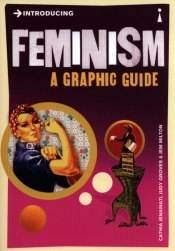 Introducing Feminism - Jenainati Cathia, Groves Judy