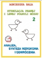 Stymulacja Prawej i Lewej Półkuli Mózgu. Zeszyt 2. Analiza, synteza wzrokowa i odwrócenia - Agnieszka Bala