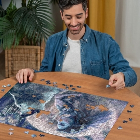 Ravensburger, Puzzle 1000: Magia blasku księżyca (12000621)