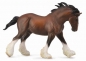 Ogier Clydesdale maści gniadej XL