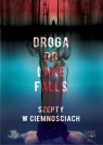  Droga do Lake FallsSzepty w ciemnościach