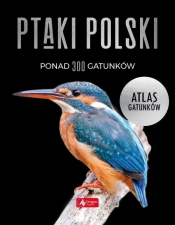 Ptaki Polski Atlas gatunków - Przybyłowicz Anna, Przybyłowicz Łukasz, Włodarczyk Radosław