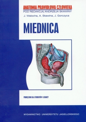 APC Miednica