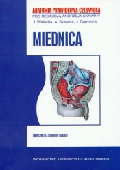 APC Miednica