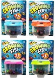 Hodowla ryb w akwarium mix