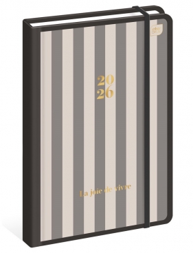 Kalendarz książkowy B5/192 - Metallic Stripes