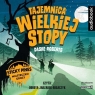  Tajemnica Wielkiej Stopy audiobook