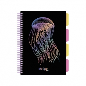 Kołozeszyt Strigo Pads Project Book B5 kratka Głębiny - Meduza