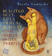 Dlaczego oczy kota świecą w nocy? - Dorota Sumińska