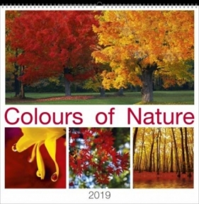 Kalendarz 2019 Wieloplanszowy Colours of Nature