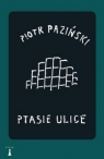 Ptasie ulice Paziński Piotr