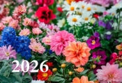Kalendarz 2026 trójdzielny Kwiaty