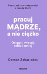 Pracuj mądrze, a nie ciężko Damon Zahariades