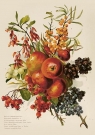<img src='https://webimage.pl/pics/216/1/d7340228001216.jpg' width='353' height='500'> Karnet ST515 B6 + koperta Jesienny bukiet