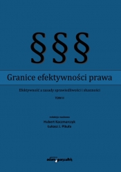 Granice efektywności prawa