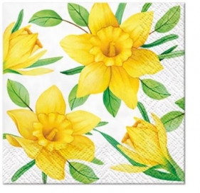 Serwetki Paw Daffodils in Bloom k - mix 150 mm x 150 mm (SDC121700)