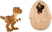 Jajkozaury: Wykluwający się dinozaur - Tyranozaur (FMB91/FMB93)