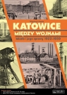 Katowice między wojnamiMiasto i jego sprawy 1922-1939 Janota Wojciech