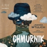Chmurnik audiobook Joanna Wtulich