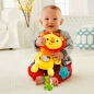 Lew z zabawkami, Fisher Price (CGN89)