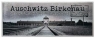 <img src='https://webimage.pl/pics/217/1/d5907195301217.jpg' width='400' height='158'> Magnes Oświęcim ILP-MAG-A-OS-08