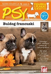 Buldog francuski. Kolekcja Psy. Część 4. Fakt poleca (figurka + plakat) - Opracowanie zbiorowe