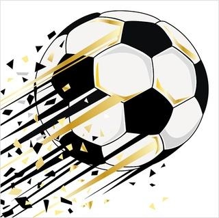Karnet Uniwersalny - Monochrome Football