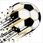 Karnet Uniwersalny - Monochrome Football