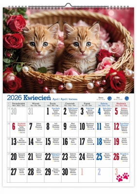Kalendarz 2026 ścienny A4 - Koty