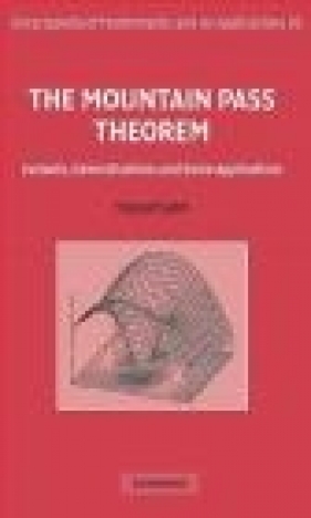 The Mountain Pass Theorem - Youssef Jabri