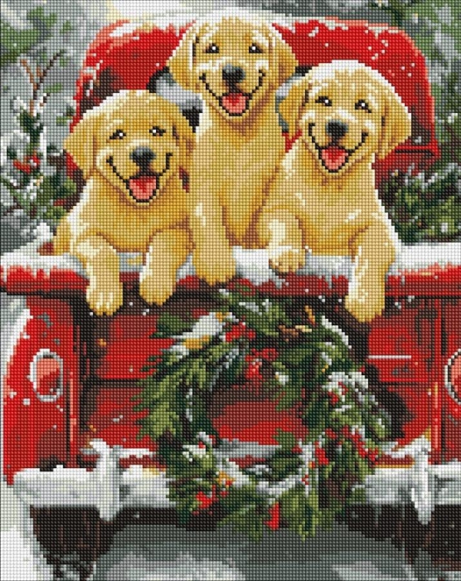 <img src='https://webimage.pl/pics/219/5/d4823104385219.jpg'>