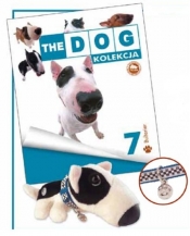 English Bull Terrier - <br />