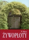 Żywopłoty