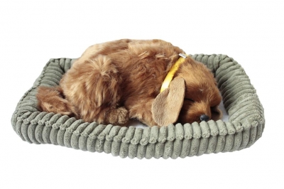 Śpiący pies na poduszce - Golden (107219)