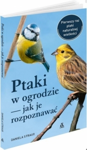 Ptaki w ogrodzie - jak je rozpoznawać - Daniela Strauss