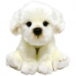 Smily Play, pluszak pies Bichon (84404BI)